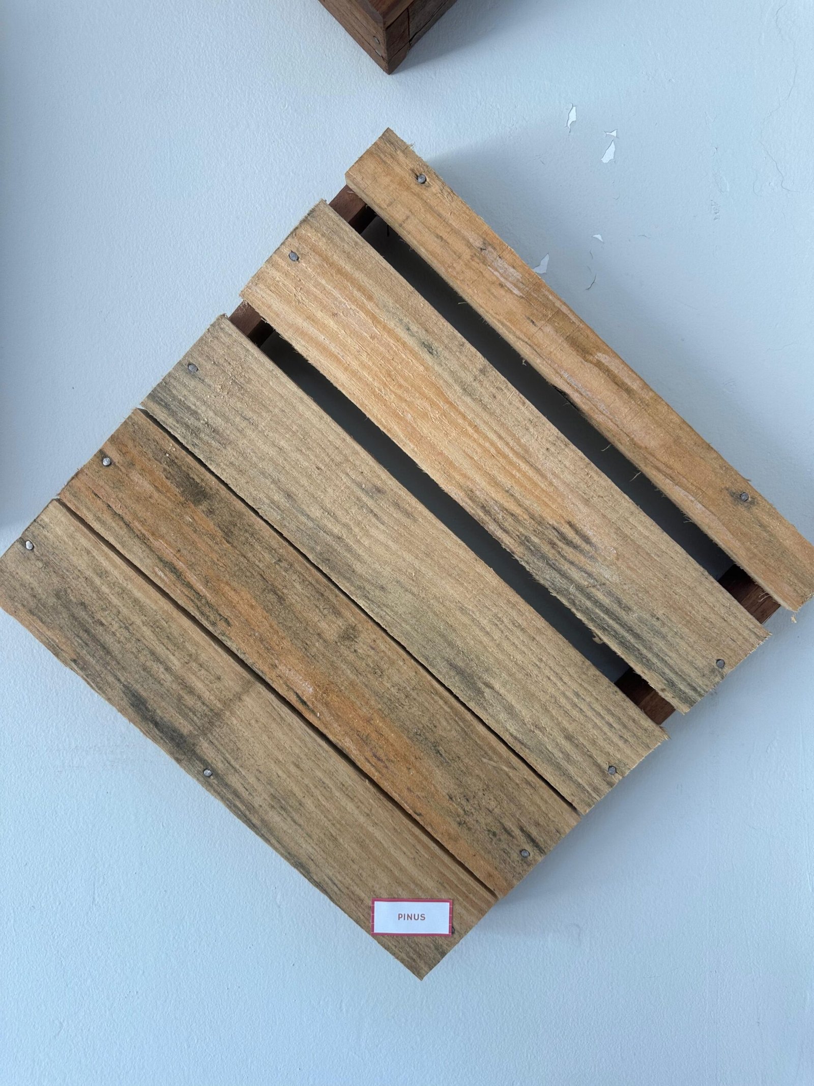 95774566-1e00-460a-bb43-e64cbbeffa81